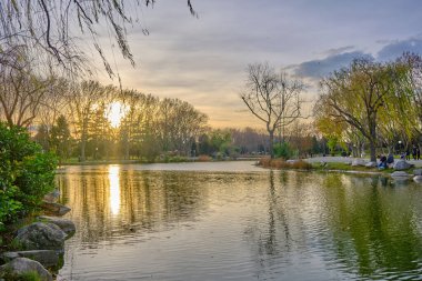 Gün batımında ağaçların yansımasıyla küçük bir gölet ve göl..