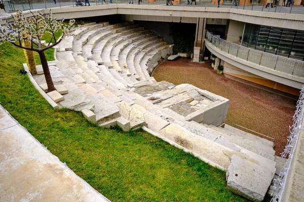 Plovdiv Římský Stadion Zlaté Žluté Barvy Jelena Tělo Strom Pro — Stock fotografie