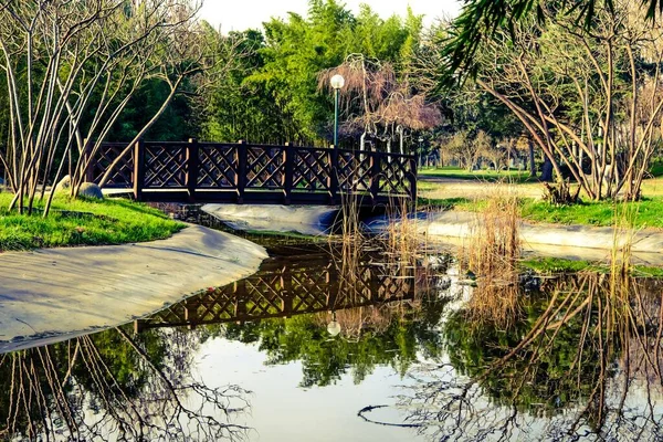 Malý Roztomilý Dřevěný Most Botanickém Parku Reflexe Mostu Jezírku Nebo — Stock fotografie
