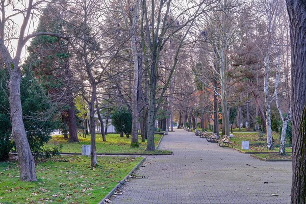 City Park Bulgaria Kardzali Dried Trees Yellow Leaves Bottom Green — ストック写真
