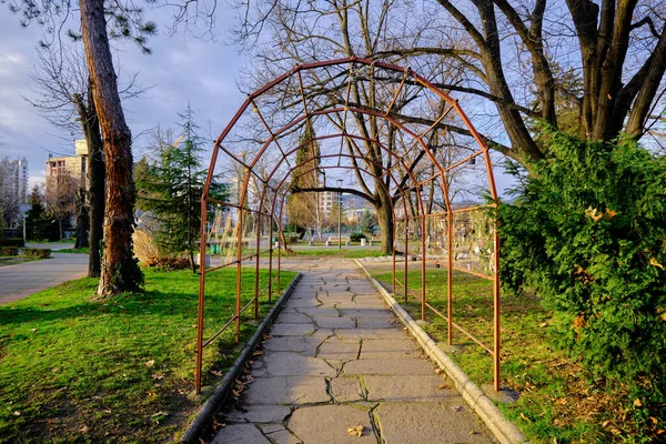 Corrosive Orange Vine Trellis Open Park Kardzali Bulgaria Early Morning — Stock fotografie
