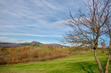 Bulgaristan 'ın Kardzali kentindeki vadi manzarası yeşil çimenler, kurumuş ve kurumuş bitkiler.