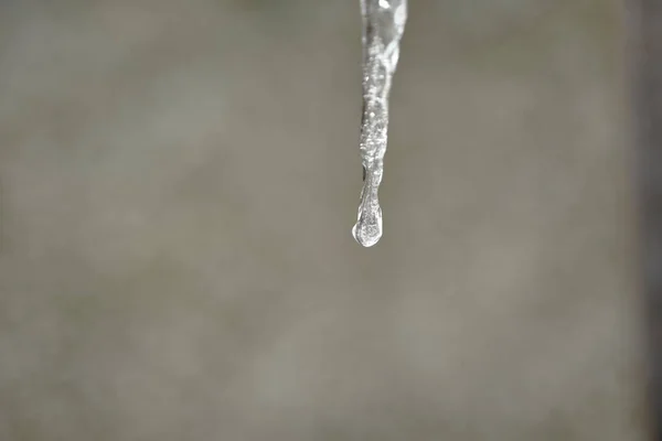 Közelről Egy Jégcsap Egy Kis Vízcsepp Téli Tema Hideg Nap — Stock Fotó