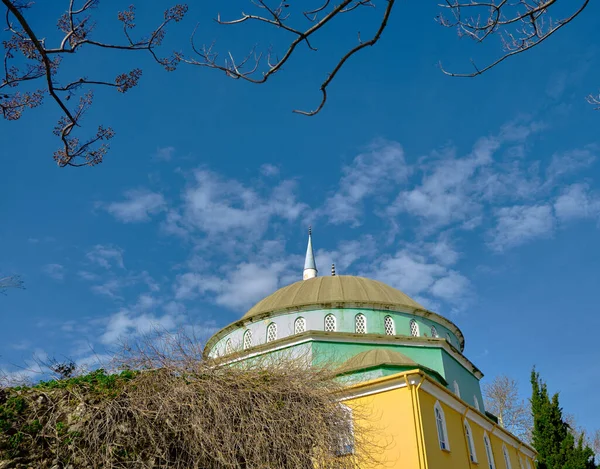 Lokalny Meczet Golyazi Jego Minaret Rozciąga Się Nieba Pastelowy Zielony — Zdjęcie stockowe