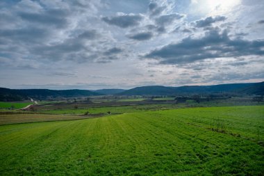 Küçük tepede muhteşem yeşil çimenler ve tepesinde büyük bulutlar. Hasattan önce tarım arazisi ve fotoğrafın çekildiği tepeden görünen küçük çakıl yolu..