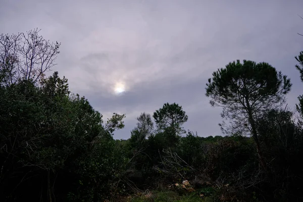 Bulutlu Hava Güneş Bulutlardan Sonra Geliyor Küçük Tepeler Ağaçların Silueti — Stok fotoğraf