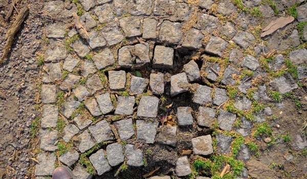 Disrupted Cobblestones Pavements Together Small Amount Green Grass Soils Open — Stock Photo, Image