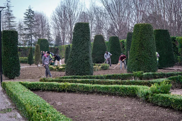 Parque Botânico Bursa Trabalhadores Agricultores Estão Colhendo Moldando Plantas Árvores — Fotografia de Stock