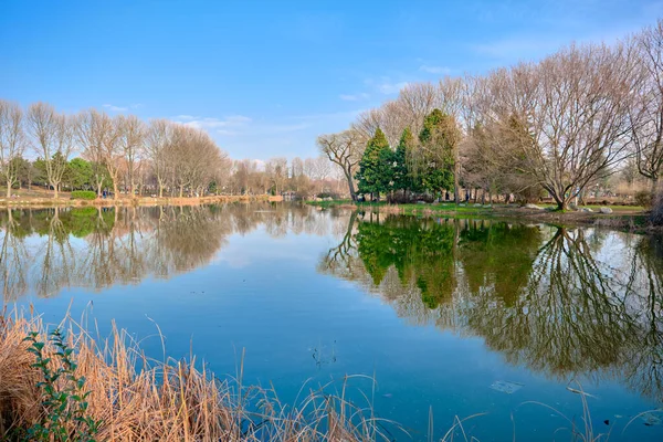 小さな湖や紅葉と池の景色 大きな木と池への反射 — ストック写真