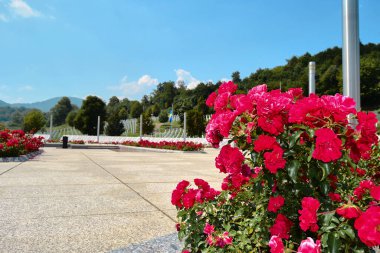 Srebrenica anıtı mermer taşlara isim olarak yazılmış. Bosna ve Herzegovina kurbanları Potocari anıtı ve mezarlığında Müslümanlar yüzünden katledildi. 12.08.2018. Srebrenica 'da. Bosna-Hersek