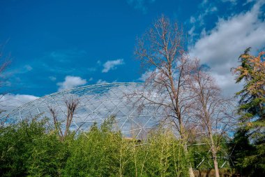 Muazzam mavi gökyüzü ve beyaz bulut arkaplanına sahip birçok ağaç ve bitki türü ve beyaz çubuklardan oluşan kubbe gibi beyaz yapılarla birlikte..