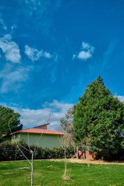 Hoş ve eski tarz kırmızı tuğlalı çatı evi, yeşil ağaçlar ve mavi gökyüzü arka planlı çimlerle muhteşem doğal ve kırsal bir manzara..