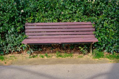 Yeşil bitkilerin içine gömülmüş ahşap bir bank ve asfalttan yapılmış bir sarmaşık. Kürsüde var olan kelimelerin çevirisi 