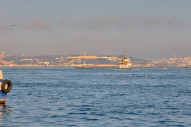 26.02.2021. İstanbul. Hindi. Sabahın erken saatlerinde Bosporus deniz iç taşımacılığı feribotu ve feribotta güneş yansıması. Feribot ve etrafında bir sürü martı.. 