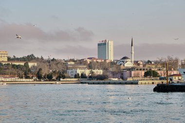 İstanbul Türkiye 26.02.2021. Sabahın erken saatlerinde İstanbul Boğazı 'nda feribot, şehir, cami ve diğer antik binalarla martılarla birlikte..