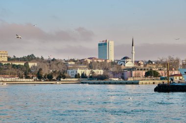 İstanbul Türkiye 26.02.2021. Sabahın erken saatlerinde İstanbul Boğazı 'nda feribot, şehir, cami ve diğer antik binalarla martılarla birlikte..