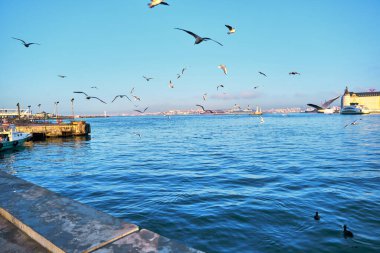 İstanbul Türkiye 26.02.2021. Boğaz 'daki eski ve eski bir tren istasyonu olan Haydarpaşa' nın iç toplu taşımacılığı ile birlikte..