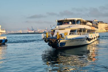 26.02.2021. İstanbul. Hindi. Sabahın erken saatlerinde Bosporus deniz iç taşımacılığı feribotu ve feribotta güneş yansıması. Feribot ve etrafında bir sürü martı.. 