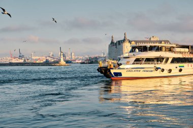 26.02.2021. İstanbul. Hindi. Sabahın erken saatlerinde Bosporus deniz iç taşımacılığı feribotu ve feribotta güneş yansıması. Feribot ve etrafında bir sürü martı.. 