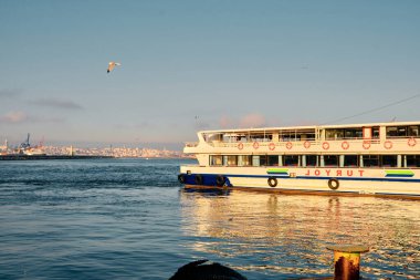 26.02.2021. İstanbul. Hindi. Sabahın erken saatlerinde Bosporus deniz iç taşımacılığı feribotu ve feribotta güneş yansıması. Feribot ve etrafında bir sürü martı.. 