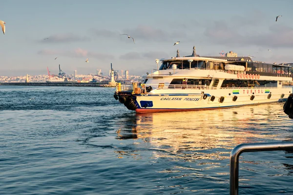 26.02.2021. İstanbul. Hindi. Sabahın erken saatlerinde Bosporus deniz iç taşımacılığı feribotu ve feribotta güneş yansıması. Feribot ve etrafında bir sürü martı.. 