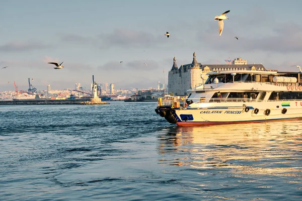 26.02.2021. İstanbul. Hindi. Sabahın erken saatlerinde Bosporus deniz iç taşımacılığı feribotu ve feribotta güneş yansıması. Feribot ve etrafında bir sürü martı.. 