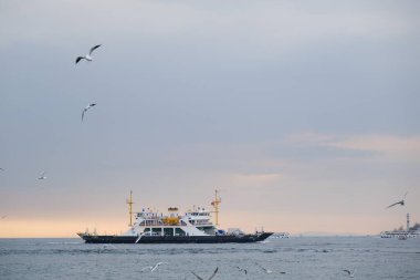 İstanbul 'da gün batımından sonra birçok martı taşıyan iç taşımacılık gemileri ve feribot İstanbul' da boğazda bulutlu bir arka plan. Hindi. İstanbul. 01.03.2021.