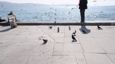 04.03.2021 İstanbul. Hindi. Boğaz İstanbul 'da. İnsanlar ve turistler Bosporus kıyısında beton bir taşın üzerinde oturuyorlar. Oturup fotoğraf çekiyorlar ve martıları, güvercinleri ve güvercinleri besliyorlar.