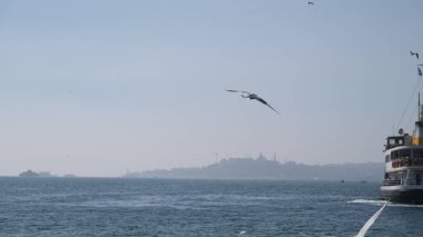 Hindi. İstanbul 04.03.2021