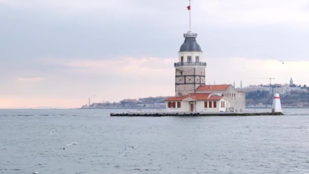 トルコのキズ クレシ Kiz Kulesi という乙女の塔は 曇った天候の中 太陽の光が反射してきました カモメの群れが海を飛んでいます イスタンブールトルコ01 2021 — ストック動画