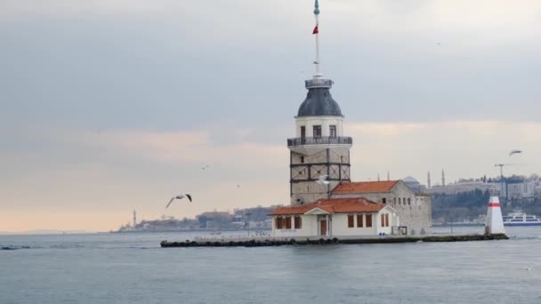在多云的天气里 土耳其伊斯坦布尔的少女塔 Kulesi 阳光反射在玻色波鲁斯海 成群的海鸥在海上飞行 土耳其01 2021 — 图库视频影像