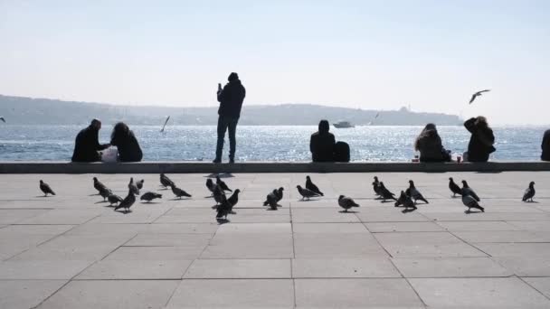 2021 Istanbul Turkey Bosphorus Istanbul People Tourist Sitting Concrete Stone — Stock Video