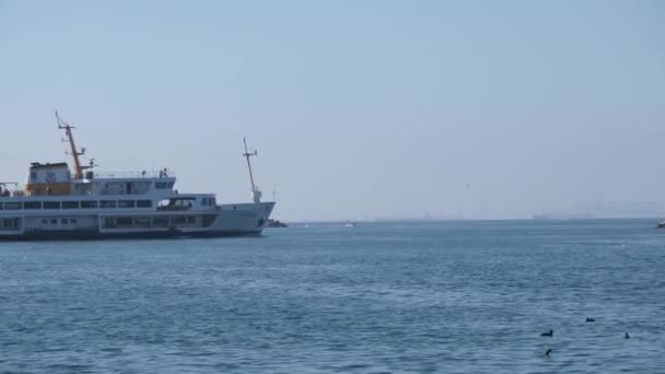 Turquía Istanbul 2021 Istanbul Bosporus Barco Transporte Interno Ferry Navegando — Vídeos de Stock