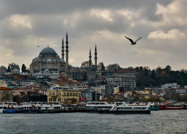 Türkiye istanbul 03.03.2021. İstanbul 'daki Yeni Cami Camii Camii Sabah Martılarıyla.