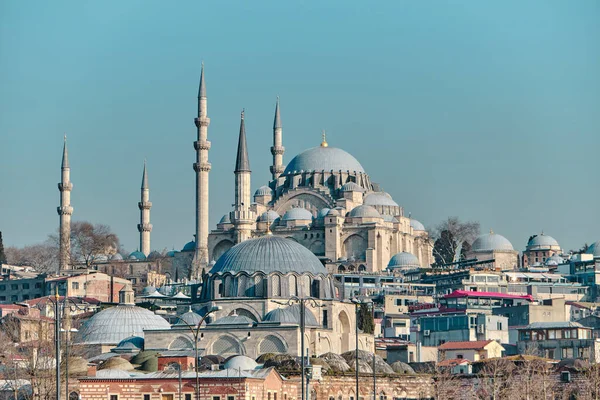 Türkiye istanbul 03.03.2021. İstanbul 'daki Yeni Cami Camii Camii Sabah Martılarıyla.