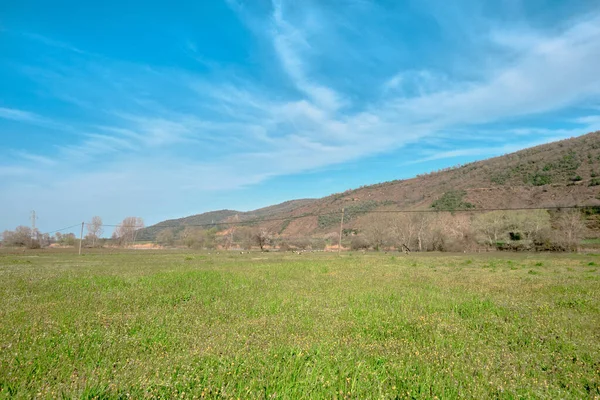 Karacabey Bursa Daki Tarımsal Alanda Küçük Tepe Mavi Gökyüzü Arka — Stok fotoğraf