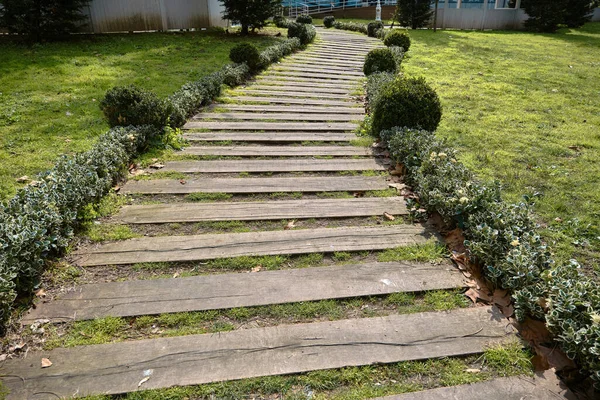 Escada Feita Material Madeira Coberto Por Grama Verde Parque Público — Fotografia de Stock