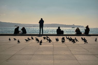 04.03.2021 İstanbul. Hindi. Boğaz İstanbul 'da. İnsanlar ve turistler Bosporus kıyısında beton bir taşın üzerinde oturuyorlar. Oturup fotoğraf çekiyorlar ve martıları, güvercinleri ve güvercinleri besliyorlar.