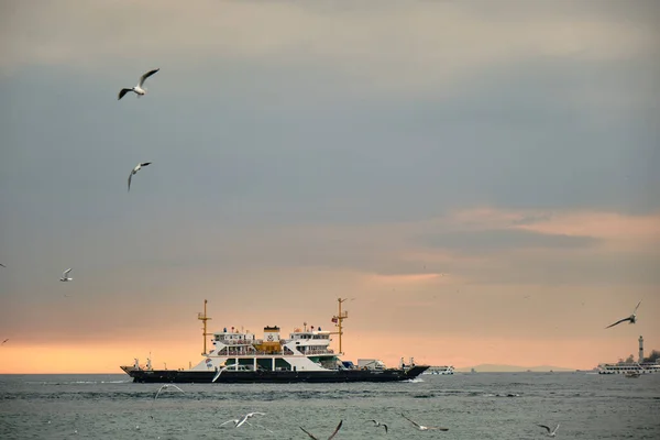 Interne Transportschepen Veerboten Gouden Hoorn Met Veel Meeuwen Zonsondergang Bewolkte — Stockfoto