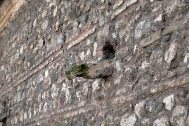 Dolmabahce Sarayı 'nın eski duvarı, Osmanlı İmparatorluğu' ndan yapılmıştır ve duvarda kuşları beslemek için çıkıntılar vardır..