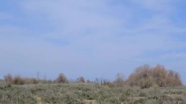 Karacabey Bursa 'daki sel ovasının içinde, arka planda ağaçlarla dolu kötü bir yoldan giden araba.