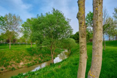 Bursa 'nın ortasındaki doğa manzarası ve nehir. Nehrin kenarında yeşil çimenler ve yürüme yolunun etrafında mavi gökyüzü arka planına sahip ağaçlar var..