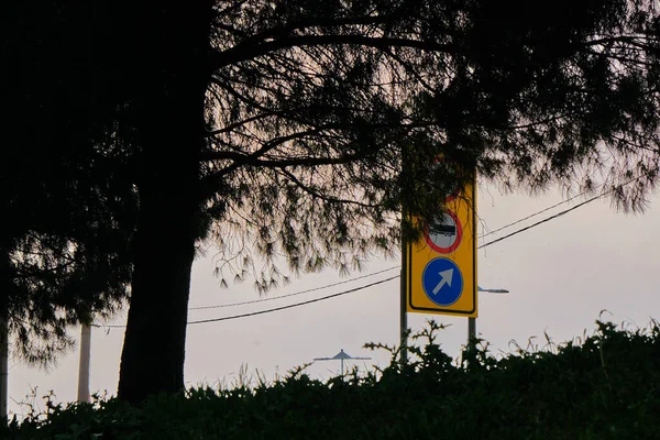 Street Tabella Traffic Sign Road Taken Photo Low Angle Silhouette — Stock Photo, Image