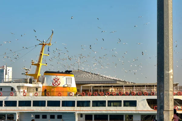 Pěší Veřejné Trajekt Loď Kadikoy Pobřeží Istanbulu Během Rána Nad — Stock fotografie