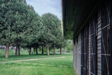 Bir ahşap, tarım tarlasında yeşil çimlerde küçük bir ev ya da baharda yeşil ağaçlı yeşil bir park yaptı..