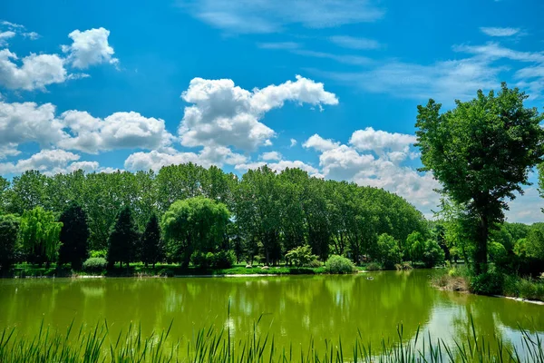 Verde Pubblico Parco Naturale Bursa Durante Giornata Sole Parco Con — Foto Stock