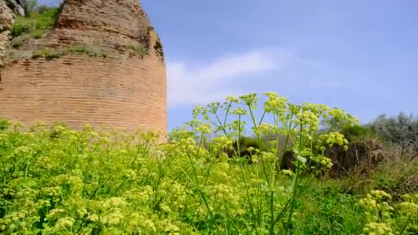緑の芝生の周りに黄色の花や石や赤レンガで作られた放棄された茶色の都市の壁とIznikの古い古代と遺跡都市の壁の遺跡と一緒に — ストック動画