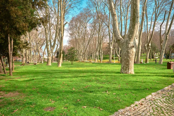 晴れた日にはグルハネ公園の活気ある緑の草や巨大な松の木の体に覆われたイスタンブールのオスマン帝国によって設立された旧成熟した公共グルハネ公園 — ストック写真