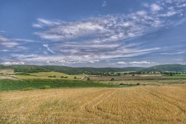 Küçük tepede muhteşem yeşil ağaçlar ve tepesinde büyük bulutlar. Hasattan önce sarı tarım ve buğday tarlası ve fotoğrafın çekildiği tepeden görünen küçük çakıl yolu..
