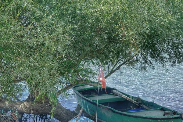 A huge oil tree and small fishing boat in uluabat lake (golyazi) in Bursa with small turkish flag